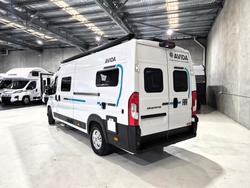 2026 Avida Escape