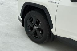 2021 Toyota RAV4 Cruiser