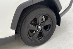 2021 Toyota RAV4 Cruiser