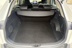 2021 Toyota RAV4 Cruiser