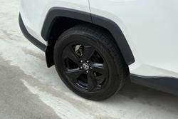 2021 Toyota RAV4 Cruiser