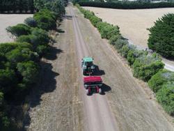 0 Semeato Tdng 300E Double Disc Seeder Aged RED