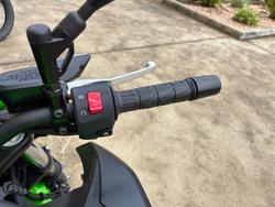 2025 Kawasaki Z500 Green