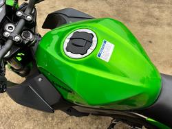 2025 Kawasaki Z500 Green