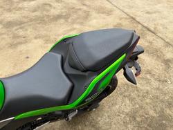 2025 Kawasaki Z500 Green