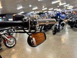 2009 HARLEY-DAVIDSON FLSTSB SOFTAIL CROSS BONES