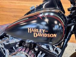 2009 HARLEY-DAVIDSON FLSTSB SOFTAIL CROSS BONES