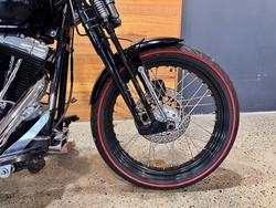 2009 HARLEY-DAVIDSON FLSTSB SOFTAIL CROSS BONES