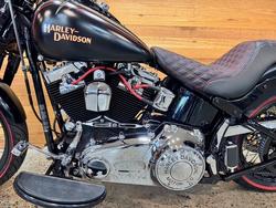 2009 HARLEY-DAVIDSON FLSTSB SOFTAIL CROSS BONES