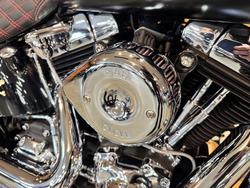 2009 HARLEY-DAVIDSON FLSTSB SOFTAIL CROSS BONES