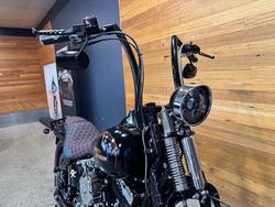 2009 HARLEY-DAVIDSON FLSTSB SOFTAIL CROSS BONES