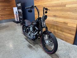 2009 HARLEY-DAVIDSON FLSTSB SOFTAIL CROSS BONES