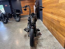 2009 HARLEY-DAVIDSON FLSTSB SOFTAIL CROSS BONES