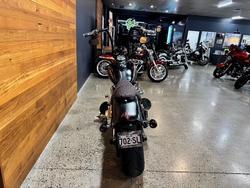 2009 HARLEY-DAVIDSON FLSTSB SOFTAIL CROSS BONES