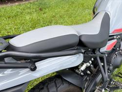 2024 Royal Enfield HIMALAYAN 450 grey