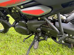 2024 Royal Enfield HIMALAYAN 450 grey