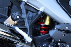 2025 BMW R 1300 R Performance