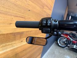 2019 HARLEY-DAVIDSON FLFBS FAT BOY S (114) (CUST)