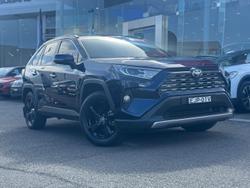 2020 Toyota RAV4 Cruiser