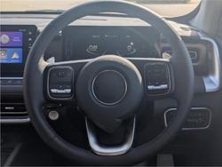 2025 GWM CANNON VANTA (4x4)