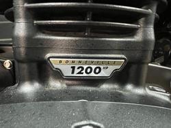 2022 TRIUMPH SPEED TWIN Black