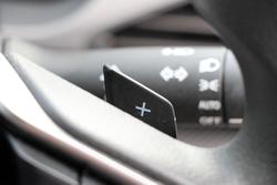 2024 Subaru Crosstrek 2.0L