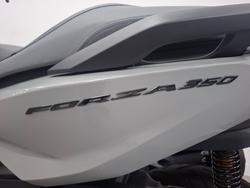 2025 Honda FORZA 350 (NSS350A) Grey