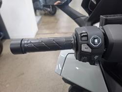 2025 Honda FORZA 350 (NSS350A) Grey