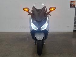 2025 Honda FORZA 350 (NSS350A) Grey