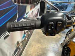 2025 Harley-Davidson Breakout 117 (FXBR) Softail