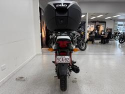 2024 Honda CB125F (CBF125) White