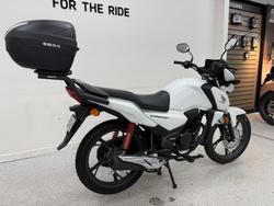 2024 Honda CB125F (CBF125) White
