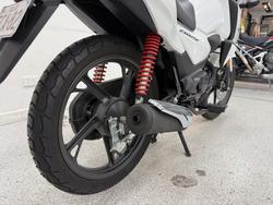 2024 Honda CB125F (CBF125) White