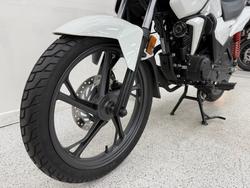 2024 Honda CB125F (CBF125) White