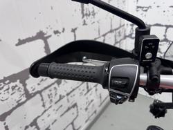 2021 Moto Guzzi V85 TT Travel V85 Beige