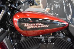 2019 HARLEY-DAVIDSON XG500 STREET 500