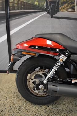 2019 HARLEY-DAVIDSON XG500 STREET 500