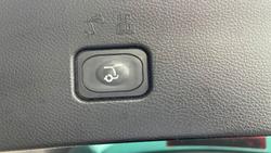 2019 Ford Everest Trend