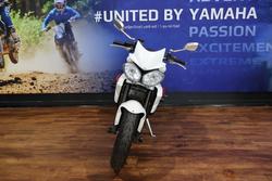 2013 TRIUMPH STREET TRIPLE R