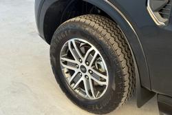 2025 Ford Everest Trend