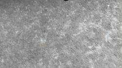 2023 Triumph TRIDENT 660 Grey