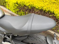 2023 Triumph TRIDENT 660 Grey