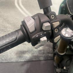 2022 Benelli LEONCINO 800 Green