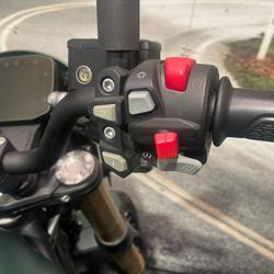 2022 Benelli LEONCINO 800 Green