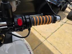 2010 Triumph TIGER 1050 White