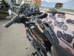 2019 HARLEY-DAVIDSON FLSB SPORT GLIDE