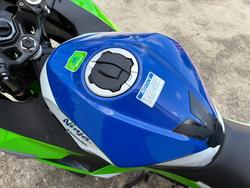 2024 Kawasaki NINJA 500 ANNIVERSARY Green