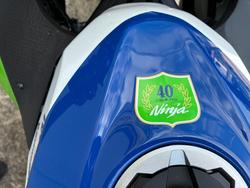 2024 Kawasaki NINJA 500 ANNIVERSARY Green