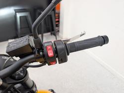 2026 Triumph 2026 Triumph 660CC Trident LAMS Yellow