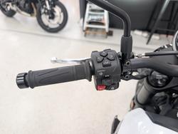 2026 Triumph 2026 Triumph 660CC Trident LAMS White